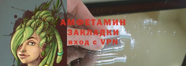 амф Аркадак