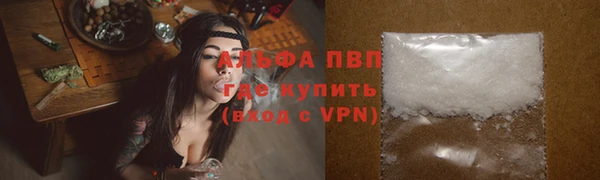 гашик Арсеньев
