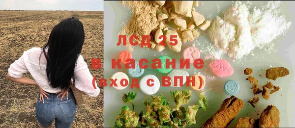 гашик Арсеньев