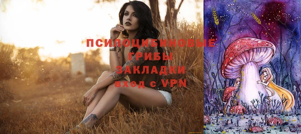 амф Аркадак