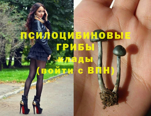 амф Аркадак