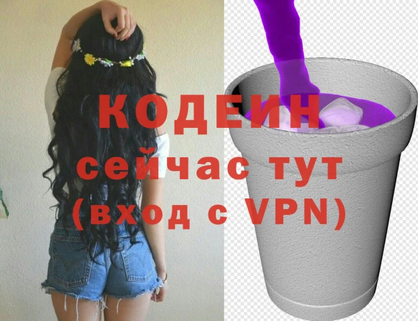 гашик Арсеньев