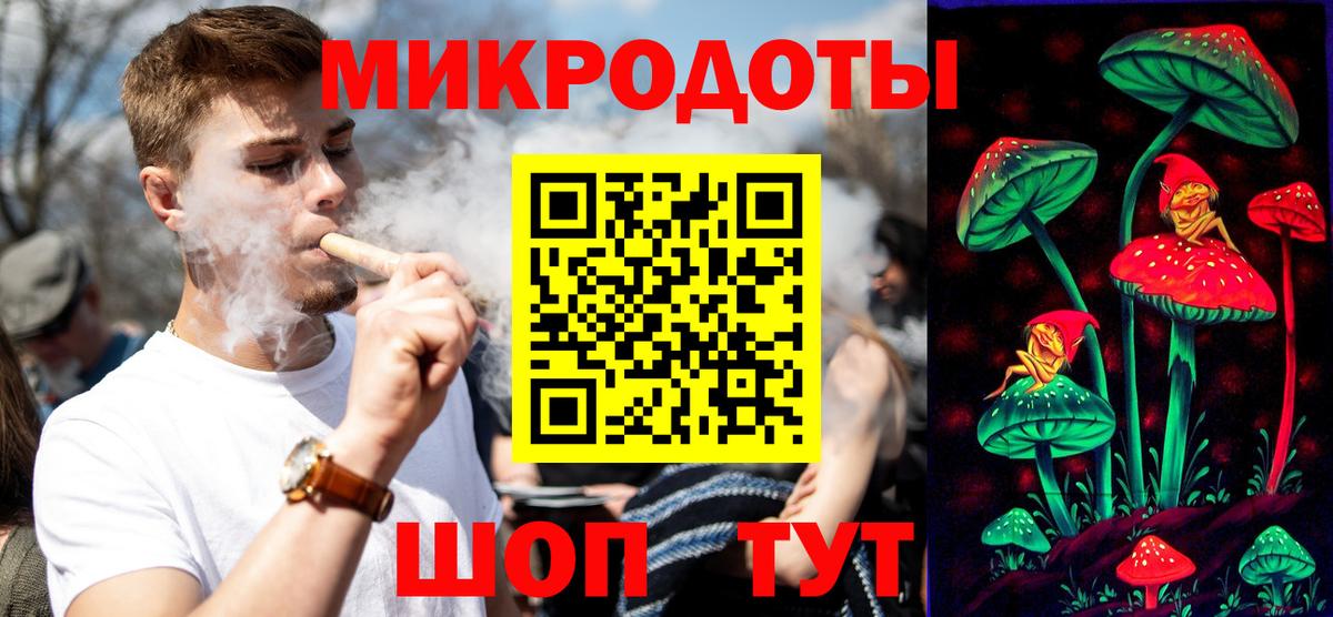 Псилоцибиновые грибы Psilocybe Барабинск