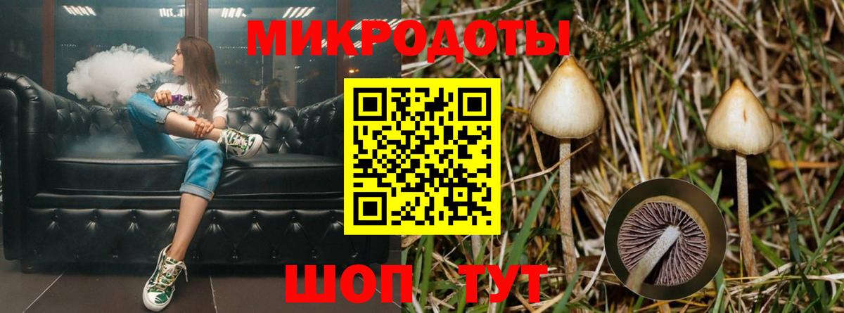 Псилоцибиновые грибы MAGIC MUSHROOMS  Галлюциногенные грибы GOLDEN TEACHER  Барабинск  Вход с VPN 